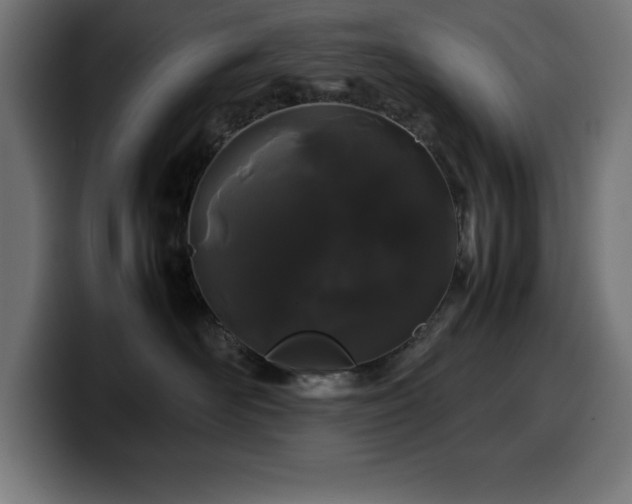 X0000100490526200806131252