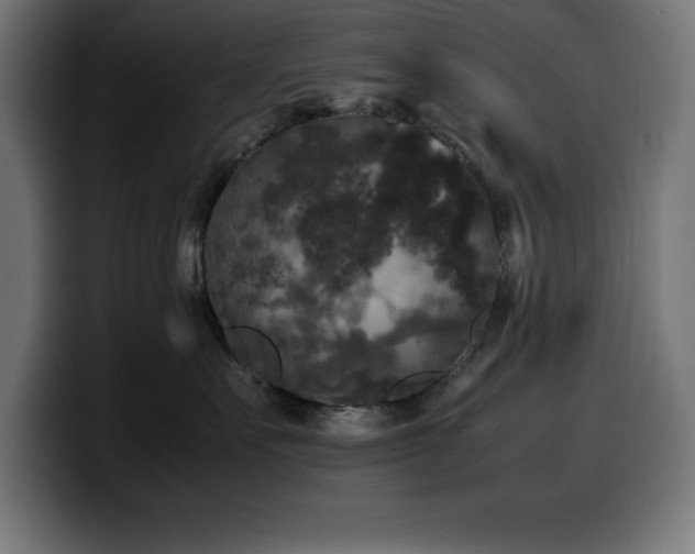 X0000100490527200806131252