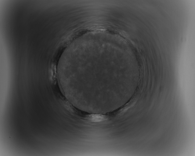 X0000100490528200806131252