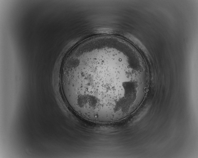 X0000100490529200806131252