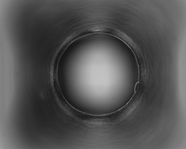 X0000100490530200806131252