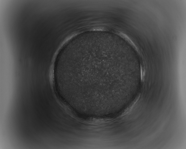 X0000100490531200806131252