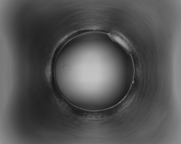 X0000100490532200806131252