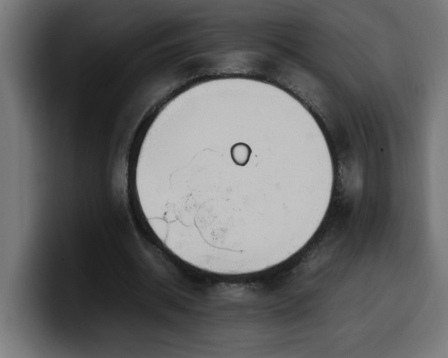 X0000100490534200806131252