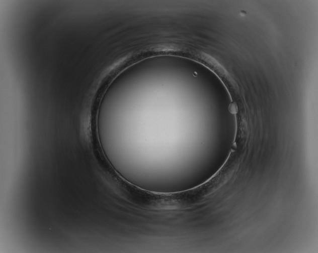 X0000100490535200806131252