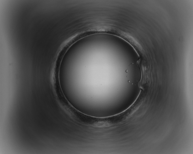 X0000100490536200806131252