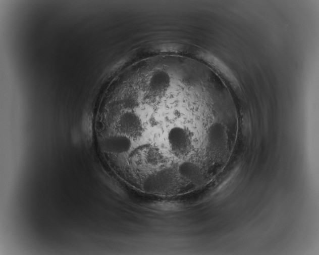 X0000100490537200806131252