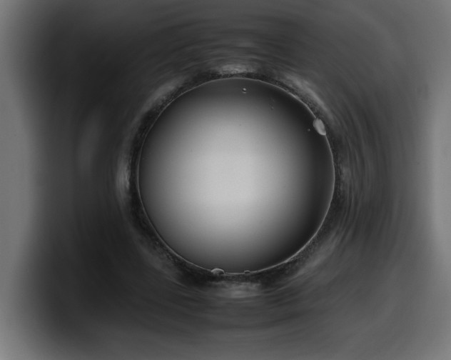 X0000100490539200806131252