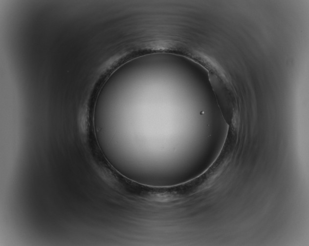 X0000100490540200806131252