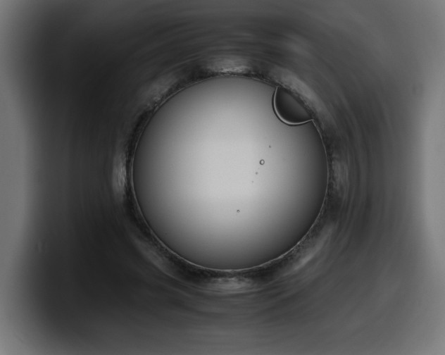 X0000100490541200806131252