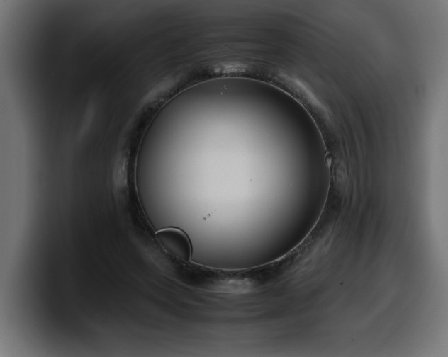 X0000100490543200806131252