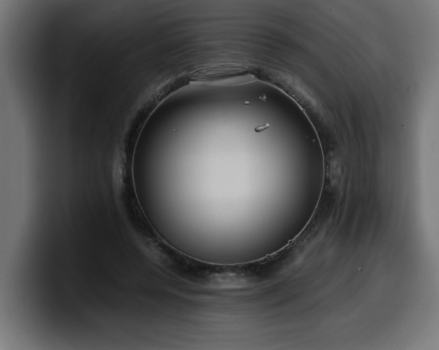 X0000100490544200806131252