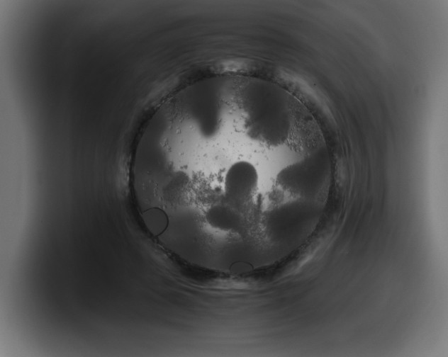 X0000100490545200806131252