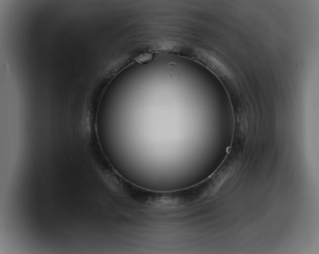 X0000100490546200806131252