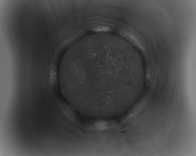 X0000100490547200806131252