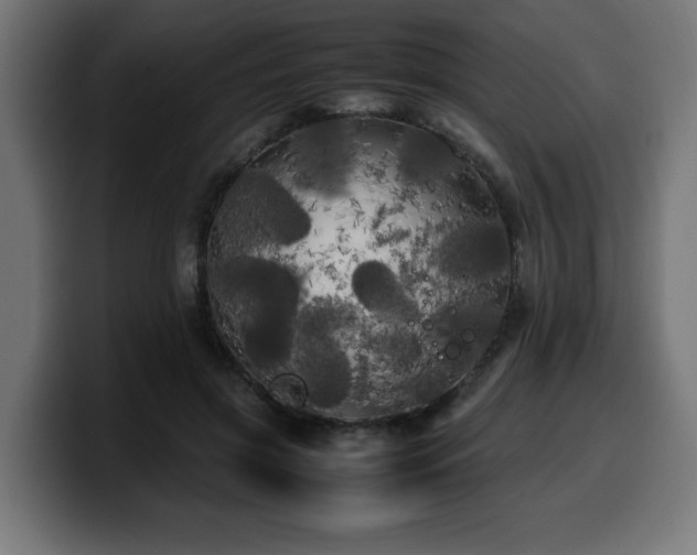 X0000100490549200806131252