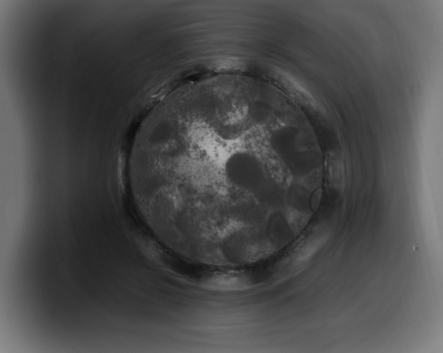 X0000100490550200806131252