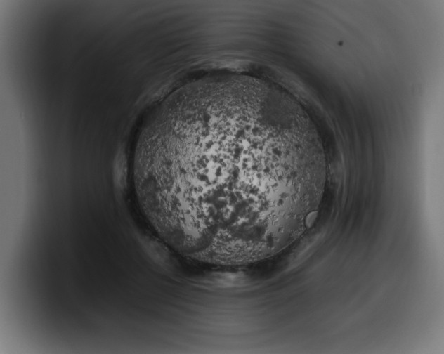 X0000100490552200806131252