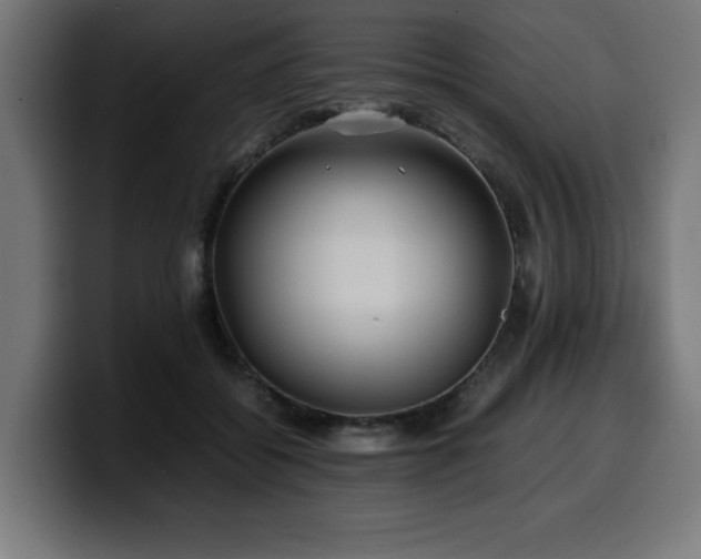 X0000100490556200806131252