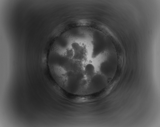 X0000100490557200806131252