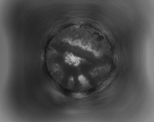 X0000100490561200806131252