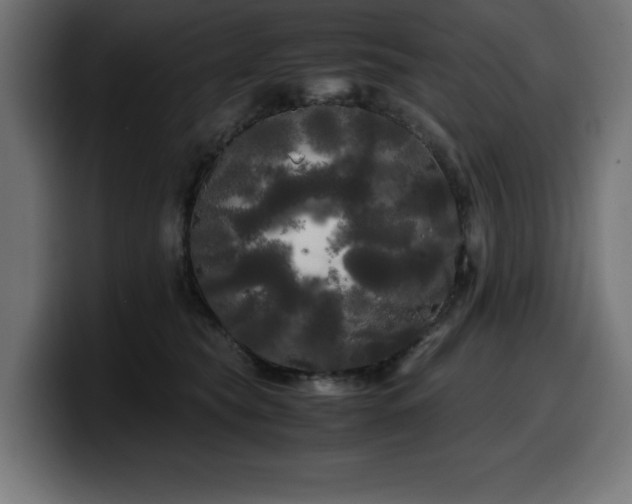 X0000100490565200806131252