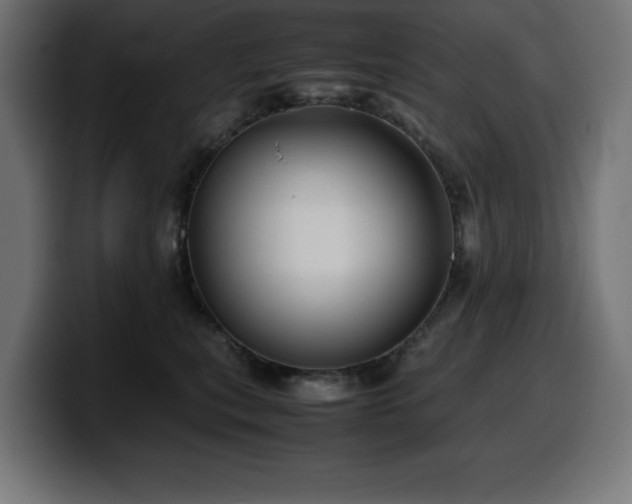 X0000100490567200806131252