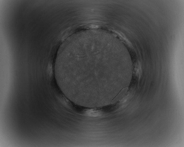 X0000100490568200806131252