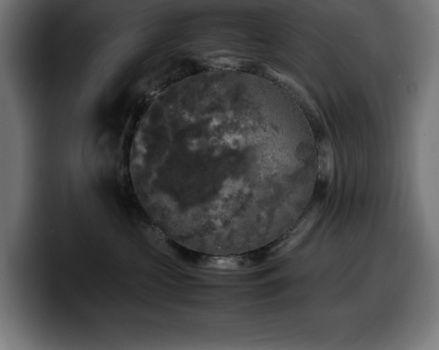 X0000100490573200806131252