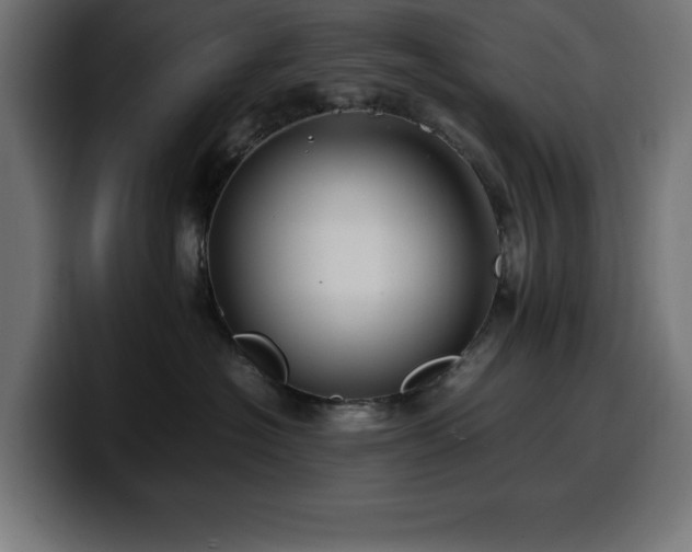 X0000100490574200806131252