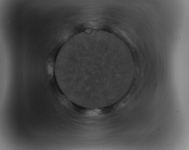 X0000100490576200806131252