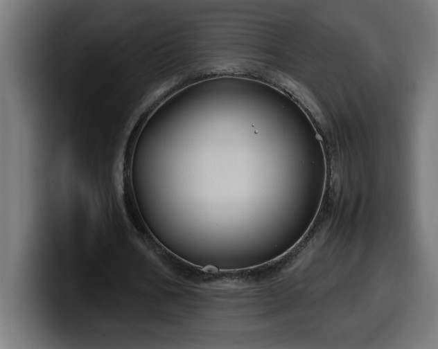 X0000100490578200806131252