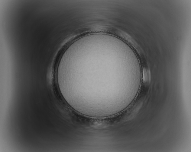 X0000100490579200806131252