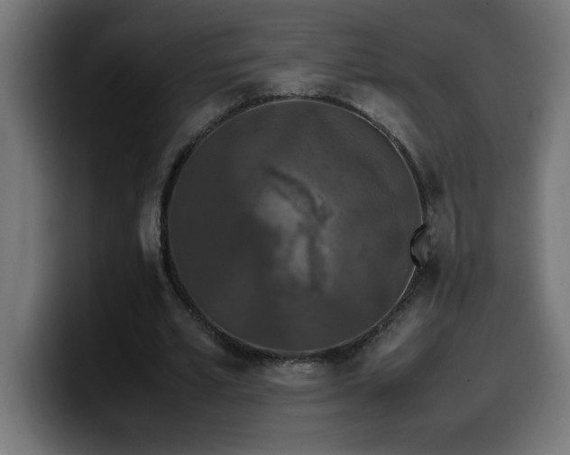 X0000100490581200806131252