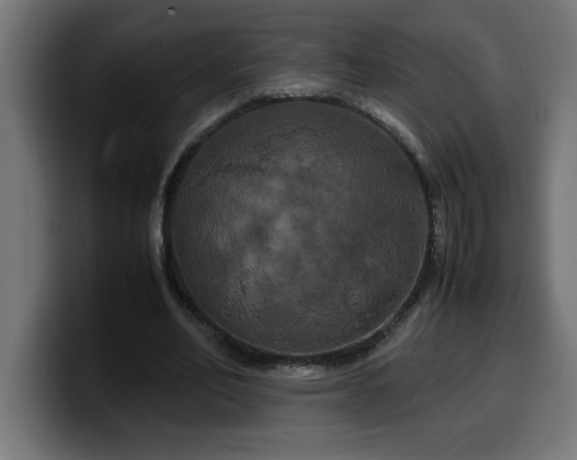 X0000100490582200806131252