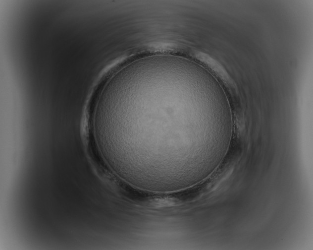 X0000100490583200806131252