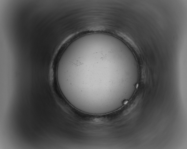 X0000100490584200806131252