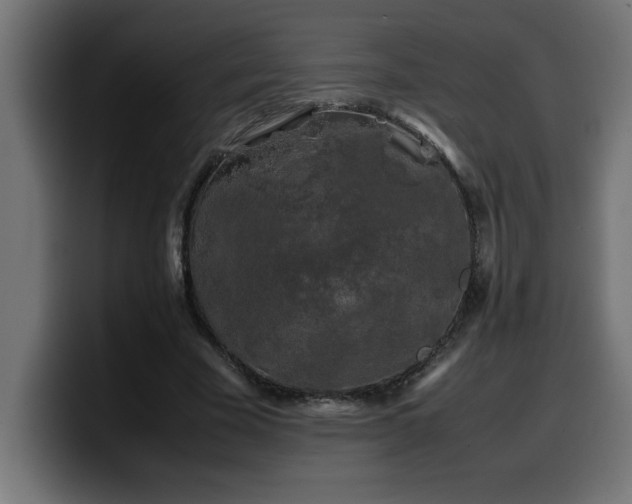 X0000100490585200806131252