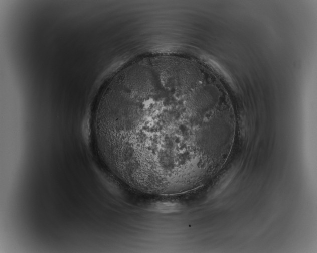 X0000100490586200806131252