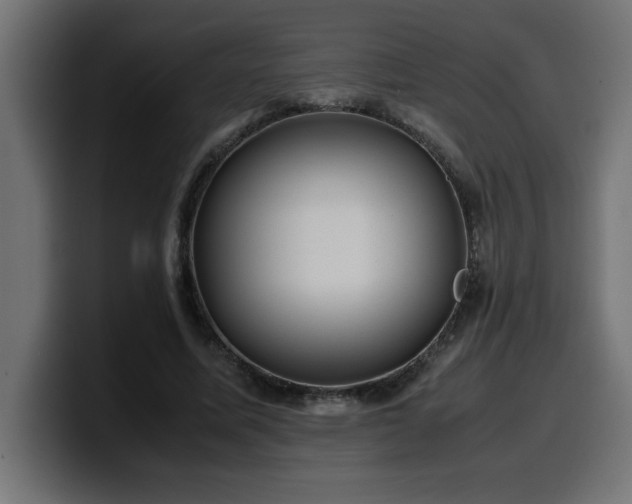 X0000100490587200806131251