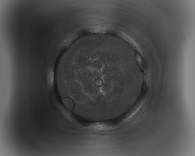 X0000100490589200806131251
