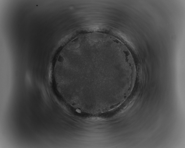 X0000100490590200806131251
