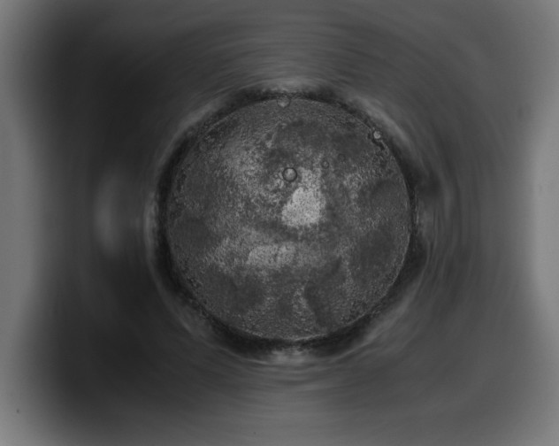 X0000100490591200806131251