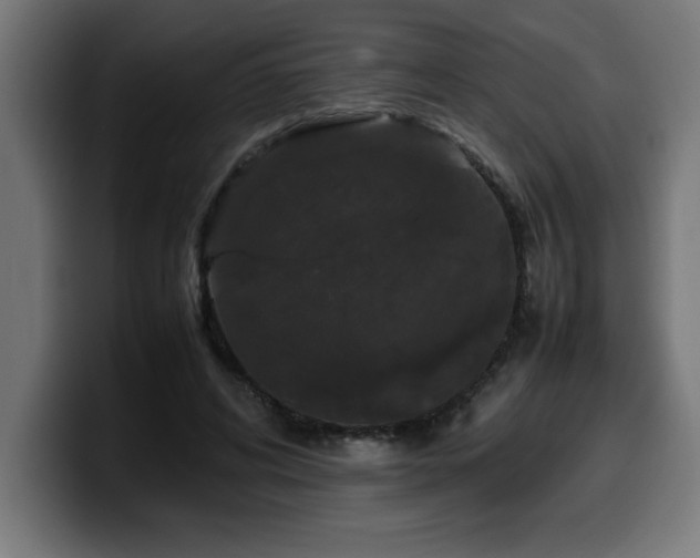 X0000100490592200806131251