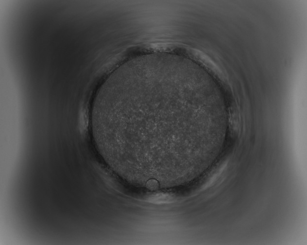 X0000100490593200806131251