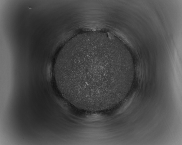 X0000100490594200806131251