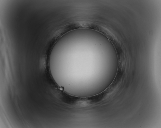 X0000100490595200806131251