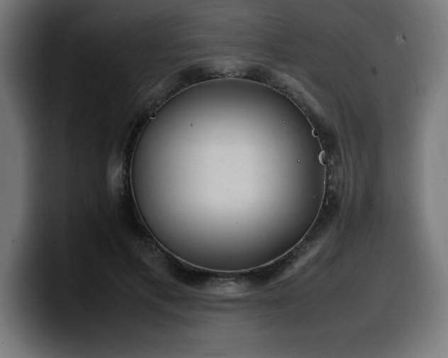 X0000100490597200806131251