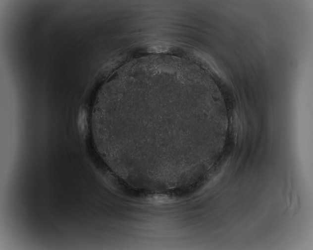 X0000100490598200806131251
