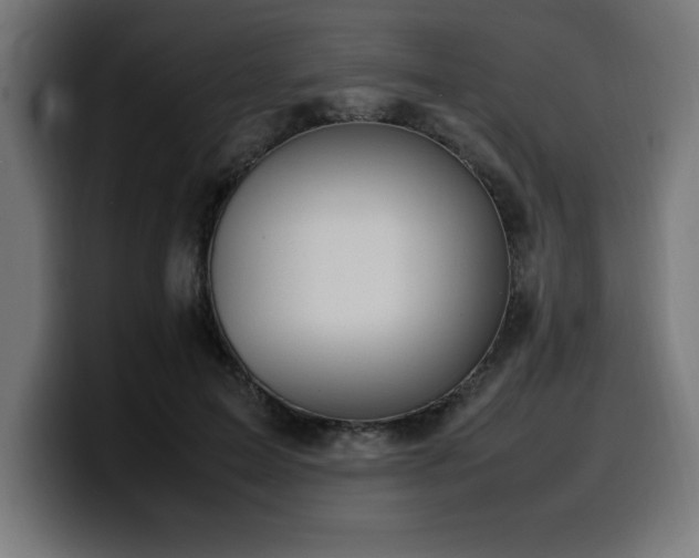 X0000100490599200806131251